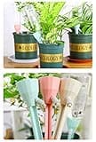 ARTEM Self Plant Watering Spikes Auto Drippers Irrigation Devices Vacation Automatic Plants Water System with Adjustable Control Valve Switch Design for Houseplant, Gardenplant, Officeplant 3 Pack thumbnail 2