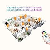 FCOB 5in1 LM052 Zigbee 3.0 WiFi 2.4GHz LED Controller thumbnail 4