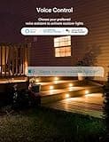 TREATLIFE Outdoor Smart Plug thumbnail 4