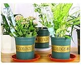 ARTEM Self Plant Watering Spikes Auto Drippers Irrigation Devices Vacation Automatic Plants Water System with Adjustable Control Valve Switch Design for Houseplant, Gardenplant, Officeplant 3 Pack thumbnail 5