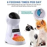 Alla Pets Dogs and Cats Feeder thumbnail 3