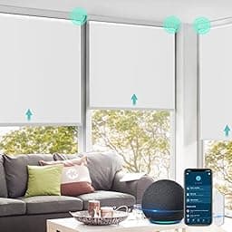 Allesin Motorized Roller Shade Blinds photo
