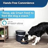 PetSafe Smart Feed Automatic Dog and Cat Feeder thumbnail 5