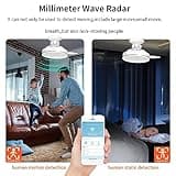 Mmwave Human Presence Sensor thumbnail 3