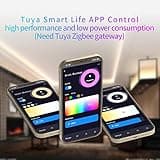 FCOB 5in1 LM052 Zigbee 3.0 WiFi 2.4GHz LED Controller thumbnail 3