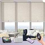 Graywind Motorized Light Filtering Shades thumbnail 1