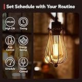 OREiN Smart LED Edison Light Bulbs thumbnail 2