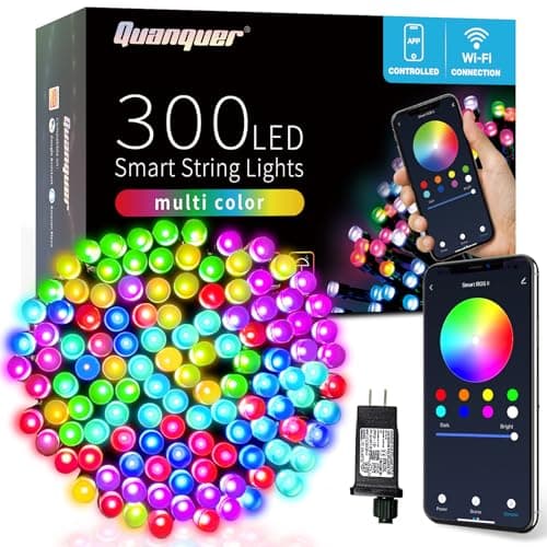 Quanquer Smart Christmas Lights Outdoor main view