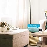 Zmodo Cameras for Home Security thumbnail 3