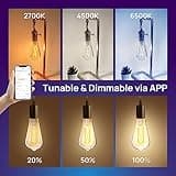 mujoy Smart LED Edison Bulbs thumbnail 4