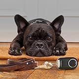 Chamberlain Group MC100-P Universal Garage Door Opener Mini Keychain Remote thumbnail 5