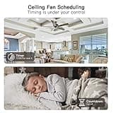 TREATLIFE Smart Ceiling Fan Control thumbnail 3
