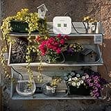 [Upgraded Pump] iPriro High Power Houseplants Automatic Watering System thumbnail 2